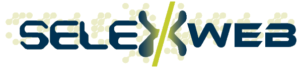 SelexWeb Inc. - Edmonton Web Design Company